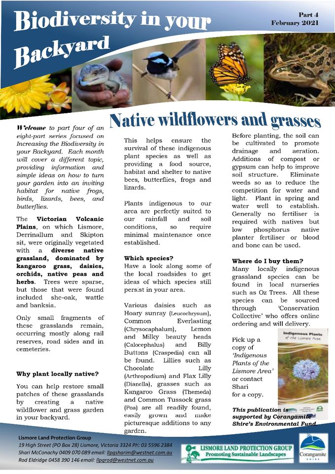 Number 4:  WILDFLOWERS - In Australia we are so very fortunate to have so many wonderful grasses and we must all try to nurture them.  Get to know as many of them as you can especially those that are local to your area.  
Also you need to get to know the introduced 